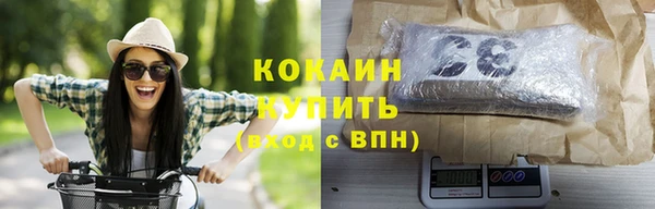 сатива Вязьма