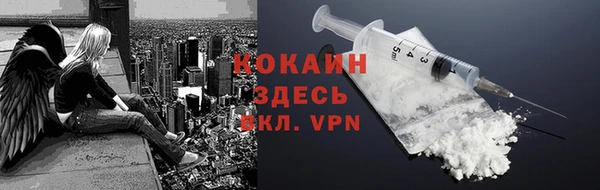 сатива Вязьма