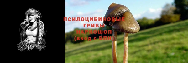 сатива Вязьма