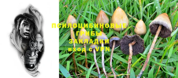 тгк Горно-Алтайск