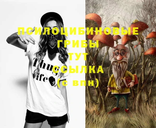 тгк Горно-Алтайск